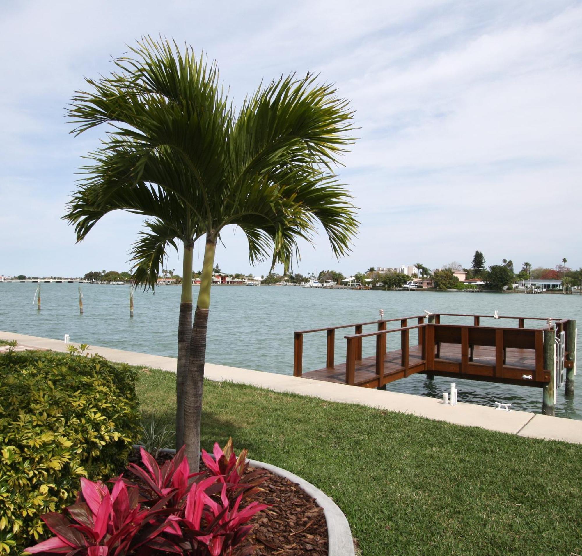 סיינט פיט ביץ' Westwinds Waterfront Resort מראה חיצוני תמונה